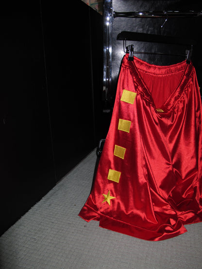 ZHONGGUO BASKETBALL DAZZLE SHORTS
